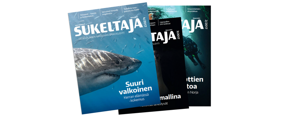 lehdet_loistava_sisältötoimisto
